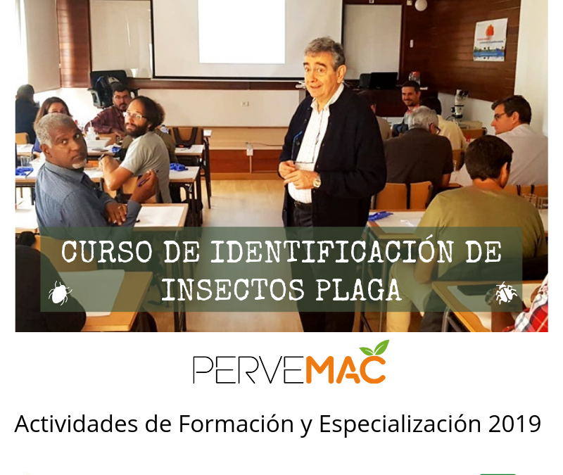 CURSO DE IDENTIFICACIÓN DE INSECTOS PLAGA EN EL ICIA